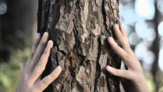 Keep Shelly In Athens - Line4 (Orange)video