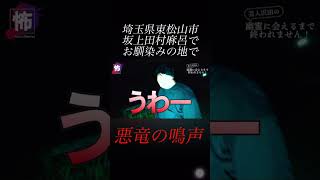 【⬇️本編はコチラ⬇️】弁天沼に巣食う者の謎の鳴き声が・・・
