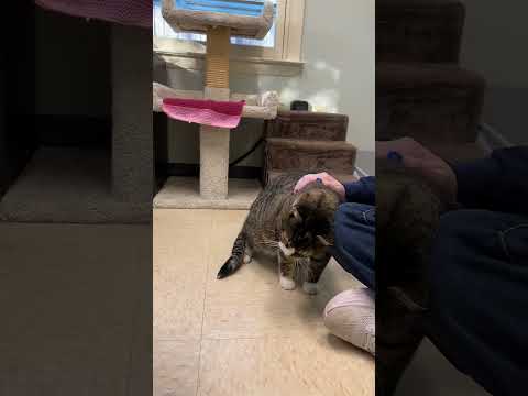 Dory Youtube Video