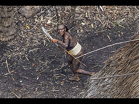Uncontacted Amazon Tribe That Doesn't Know Our Civilization Exists