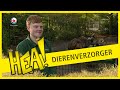 HEA! Dierenverzorger Jesse Jacob