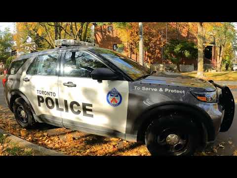 SIBBS ROC - BLACK JAZZ SUMMER