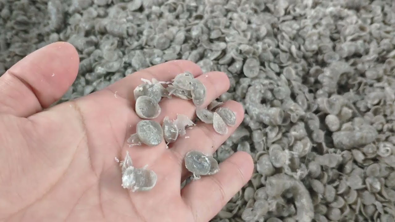 غلاف فيديو لآلة عصر الأغشية البلاستيكية