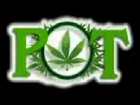 New monkey backing tune