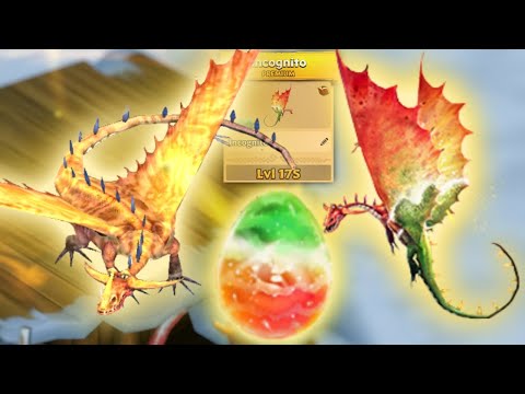 INCOGNITO — Premium Changewing Max Level 175 Titan Mode | Dragons: Rise of Berk