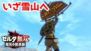 【実況】定年を迎えた父を再びハイラルの大地に放り込むPart12【ゼルダ無双 厄災の黙示録】