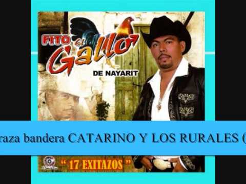 Fito El Gallo de Nayarit   catarino y los rurales