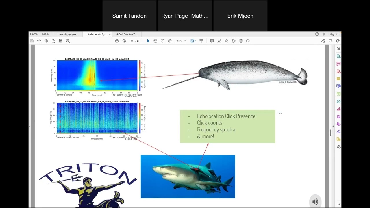 20 Kilometers of Silence: What Narwhals Are Telling the World