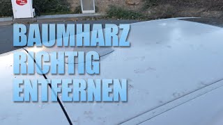 Harzflecken entfernen am Auto | Wizard of Gloss Autopflege Test | 83metoo