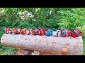 Battle For Best Under 40cc Chainsaw Stihl Echo Husqvarna Solo Shindaiwa Makita Dolmar Efco