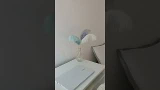 room tour thumbnail