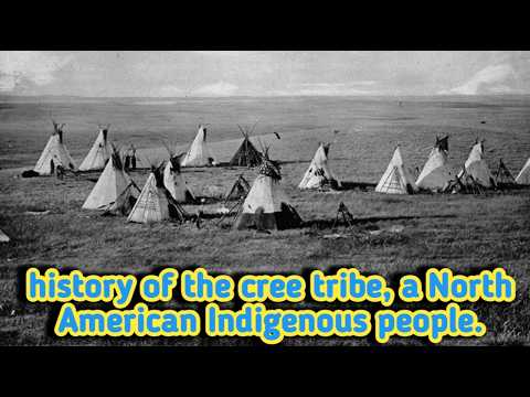 history of the cree tribe, a North American Indigenous people.