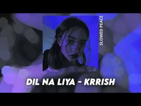 Dil Na Liya - Krrish (Perfect Slowed) | Reverb (Bonus)