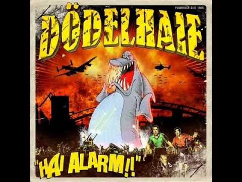 Dödelhaie - Schwimm los wenn du ein Haifisch bist