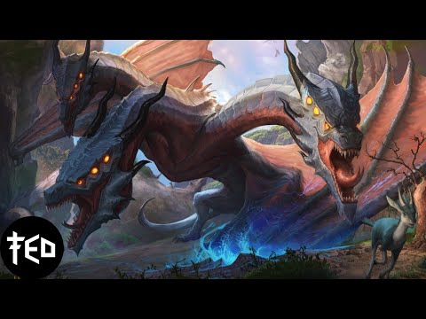 peekaboo x isoxo - powermove (scullion flip)