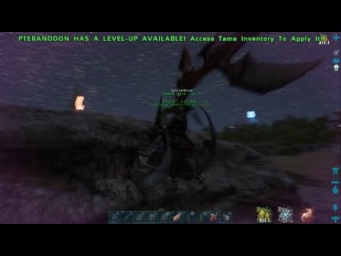 Finding a Alpha Leedsichthys!