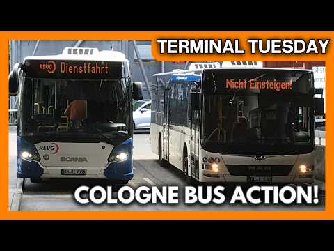 Buses Inside & Outside Cologne's Biggest Interchange! 🚌🇩🇪 | Terminal Tuesday