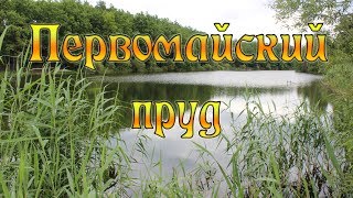 Пруды липецка рыбалка