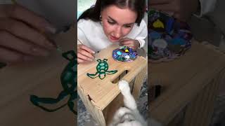 Bikini box ? / Eva Miller TikTok #evamiller #tiktok #shorts #trending #ytshorts #bikini #box #paint