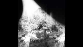 Godspeed You! Black Emperor - Piss Crowns Are Trebled