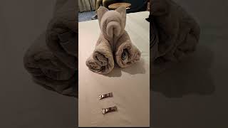 Disney Wish Cabin 7026 Tour. #disney #shorts #cruise