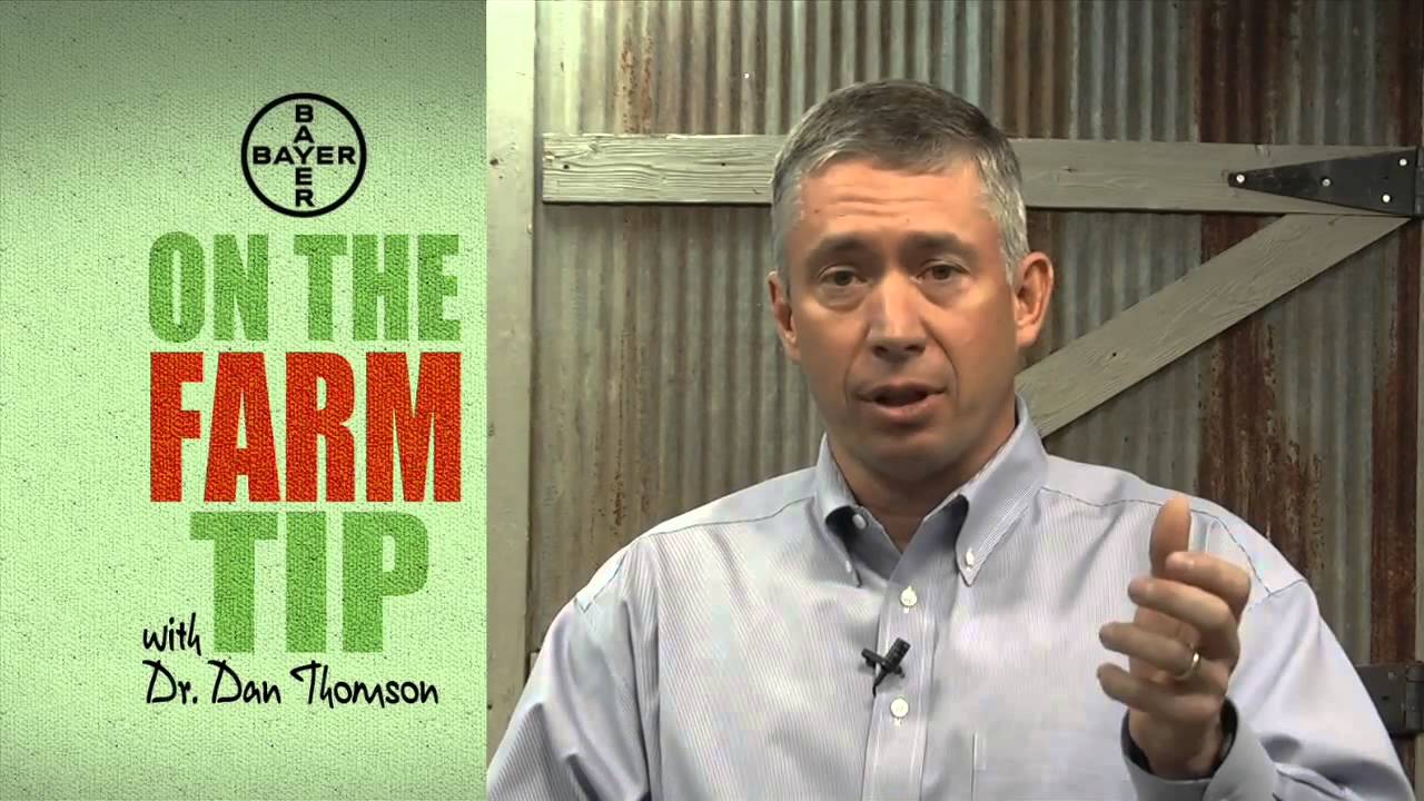 DocTalk - Low Stress Weaning Practices 720p