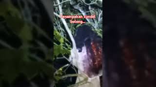 Download lagu Penampakan sundel bolong... #horror #misteri #penampakan mp3 Download lagu Penampakan sundel bolong... #horror #misteri #penampakan mp3