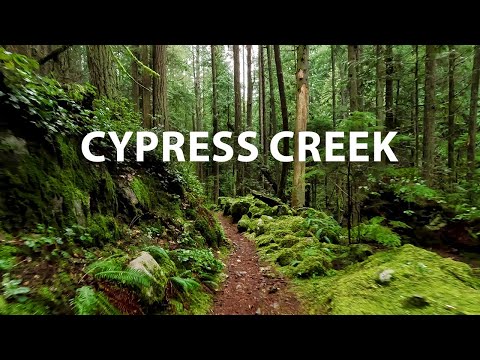 Lush Forest Virtual Hike through Cypress Creek trails in West Vancouver, BC Canada 4K