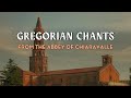 Gregorian Chants by Monks From Chiaravalle's Abbey - Christian Music