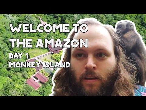 Welcome To The Amazon! Day 1: Monkey Island 🐒