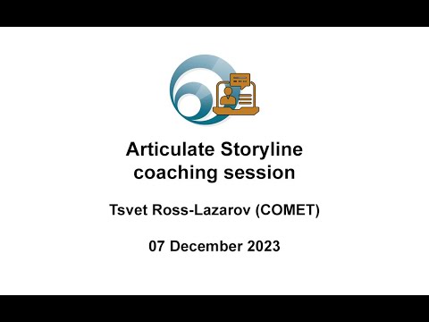 Articulate Storyline coaching session