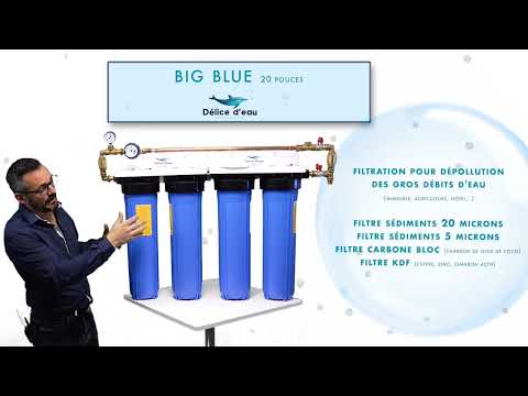 Système de filtration big blue 20 pouces