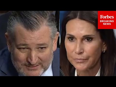 'Is That Actually Correct?': Ted Cruz Grills UBS's Lawyer Over Actions Towards Jewish Groups