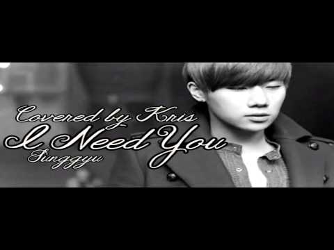 [KRIS] Sunggyu - I Need You