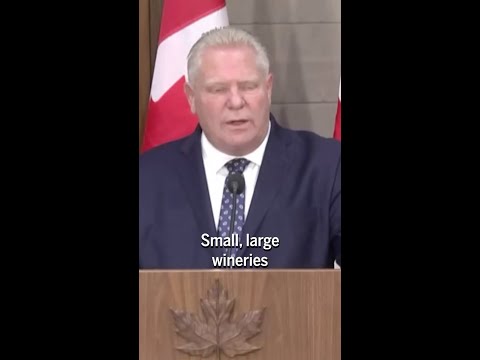 Doug Ford says U.S. alcohol ban to remain until broader deal is reached