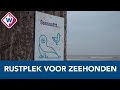 Natuurreservaat Noordvoort een rustplek voor vogels en zeehonden - OMROEP WEST