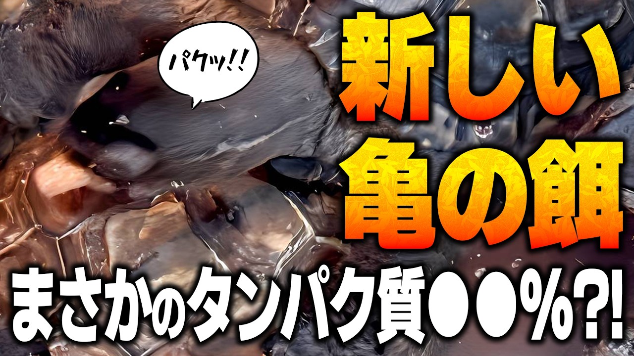 【GEX】カメ元気ごちそうごはん！意外に低タンパクで健康食？【亀飼育】