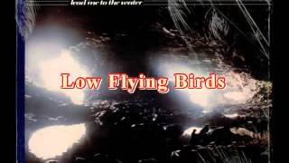 Gary Brooker - Low Flying Birds