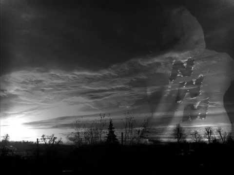 NWM - Wareckie D N A