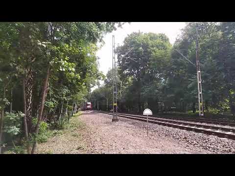 Warszawska Kolej Dojazdowa w Podkowie Leśnej