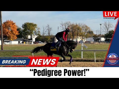 Dance Some Mo’s Shocking Rise! Pedigree Power at the Claiming Crown! 🔴 LIVE BREAKING NEWS