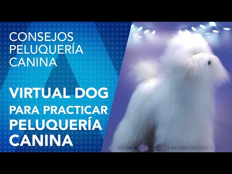 Modelos para Practicar Peluquería Canina. Virtual Dog