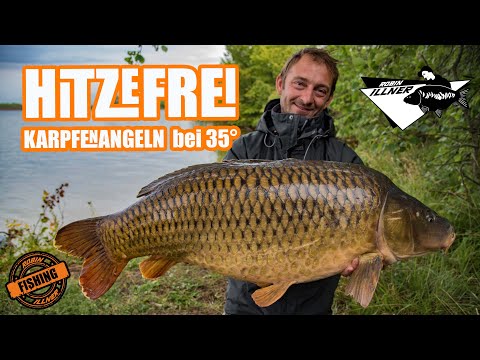 Hitzefrei - Karpfenangeln am Fluss im Hochsommer.  #carp karpfen #angeln #fluss #illner #sommer