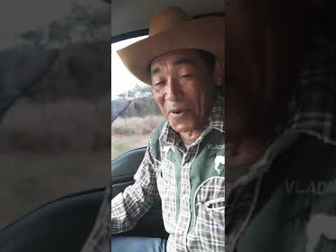 Vladimir Diaz... lo más nuevo