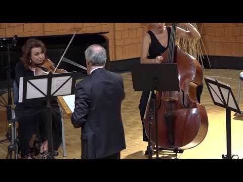 Ileana Perez Velazquez "Columnas de Luz" Commissioned by SONOR Ensemble and Conductor Luis Aguirre.