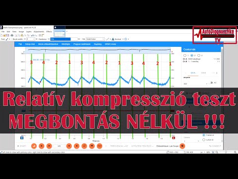 csirke féreg tabletták giardiaza recept