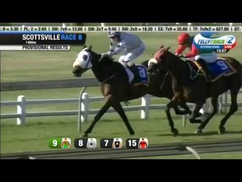 MAMBO (Amar Sewdyal)