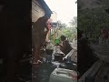 Liat Tetangga Mandi Hujan