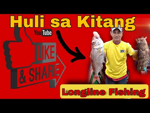 Longline Fishing (Kitang, Hayhay, Palangre fishing)