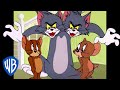 Tom Jerry Buddies For Life Classic Cartoon Compilation WB Kids